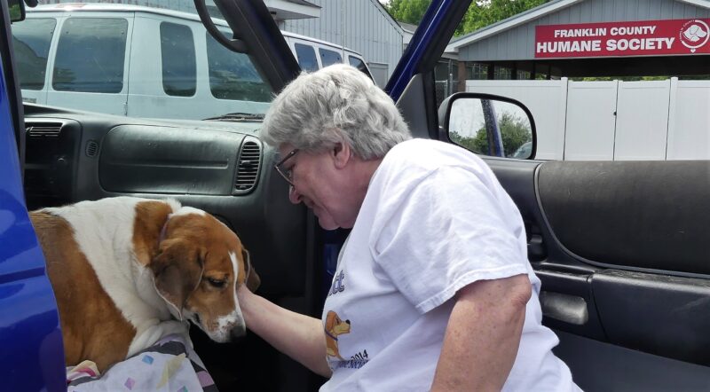 Memorial Donations – Franklin County Humane Society