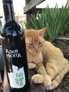 wine and cat adam puchta 2019