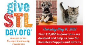 Website Post for Give STL week