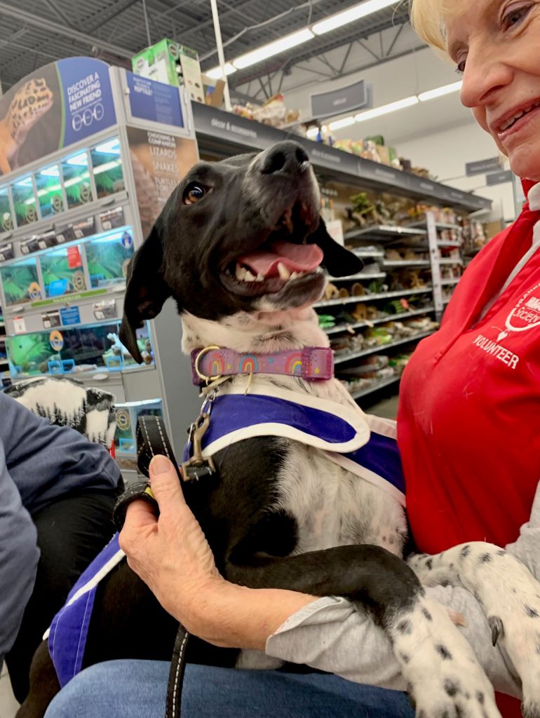 Volunteer Franklin County Humane Society