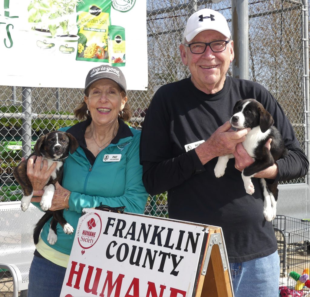 Volunteer Application and Orientation – Franklin County Humane Society