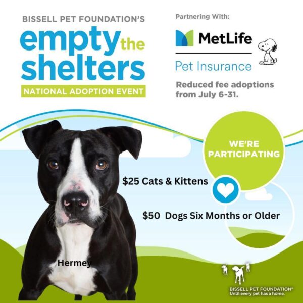 Adopt Franklin County Humane Society