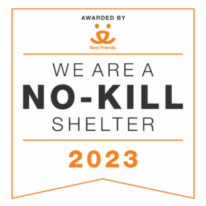 No Kill Shelter 2023