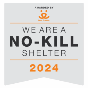 No Kill Shelter 2024